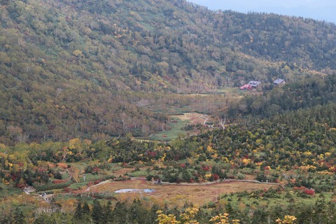 IMG_2398浮島湿原・ワタスゲ湿原・ミズバショウ湿原・ビジターセンター