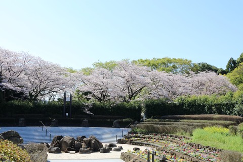 IMG_7811南口広場