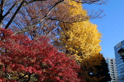 IMG_4545小石川後楽園 入口