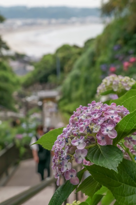 IMG_9374成就院