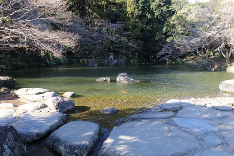IMG_5938龍智の池との堺からの龍樹の池