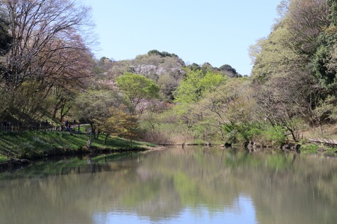 IMG_7835はす池