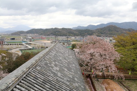 IMG_8521彦根城 三重櫓より