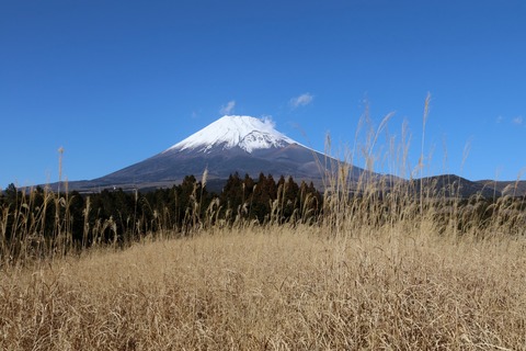 IMG_5229十時高原