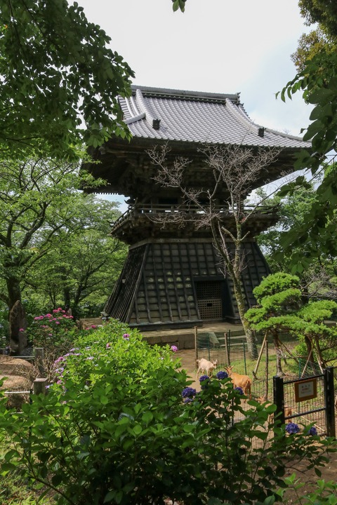 IMG_0627鐘楼堂