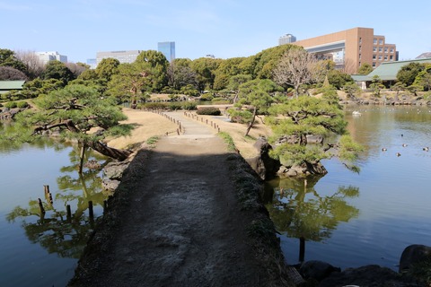 IMG_6685中の島の石橋
