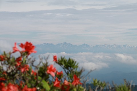 IMG_9836思い出の丘とり穂高連峰