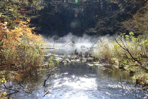 IMG_2966毘沙門沼