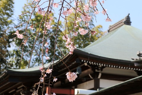 IMG_7405妙法寺
