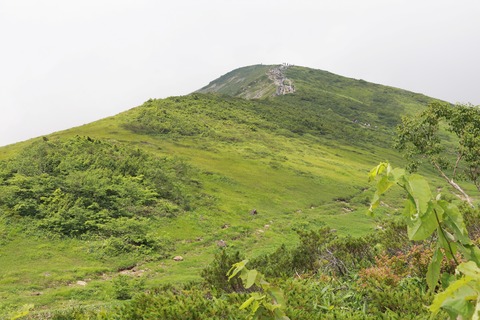 IMG_1161第2ケルン近辺より