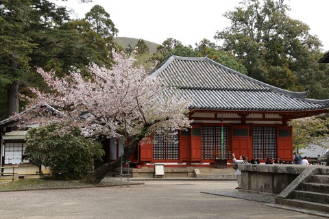 IMG_8143念仏堂