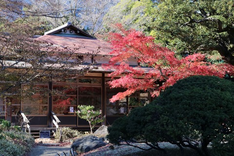 IMG_4554涵徳亭(ビードロﾃｲ)