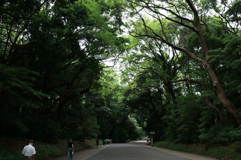 IMG_9637南参道