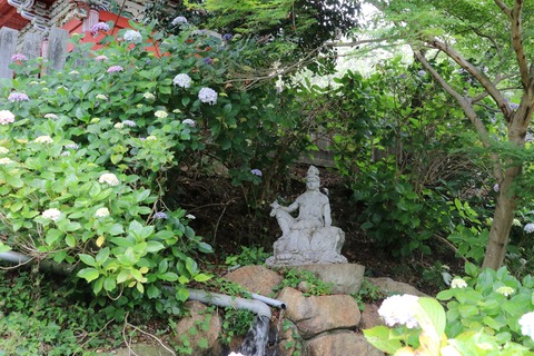 IMG_0613鐘楼堂の観音像