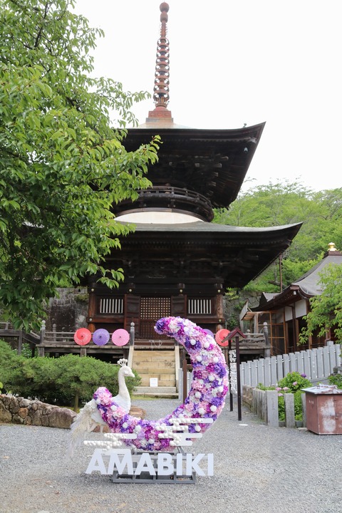IMG_0638多宝塔