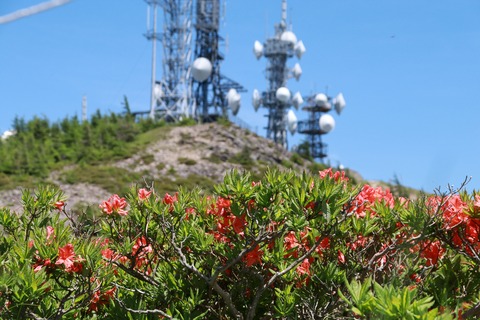 IMG_0178王ケ頭下