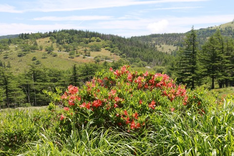 IMG_0082山群生地から周辺の景色を撮る