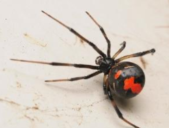 スクリーンショット 2025-07-18 161159