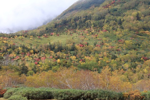 IMG_2337浮島湿原