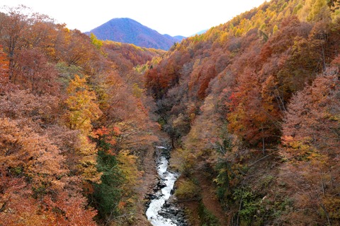 IMG_3171中津川渓谷