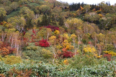 IMG_2131ミズバショウ湿原周辺の山