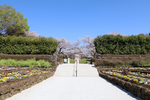 IMG_7815南口広場より展望広場を野見る