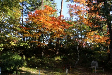 IMG_2897福満虚空藏菩薩円蔵寺