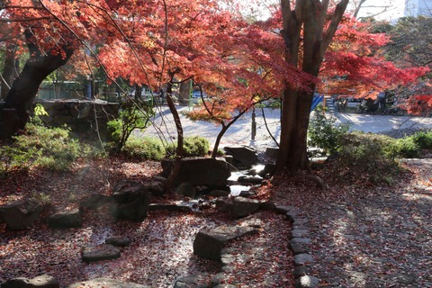 IMG_4897岡本公園