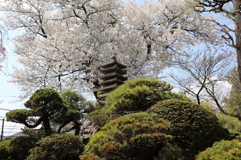 IMG_7404妙法寺