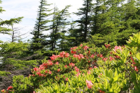 IMG_9871武石峰へ向かう