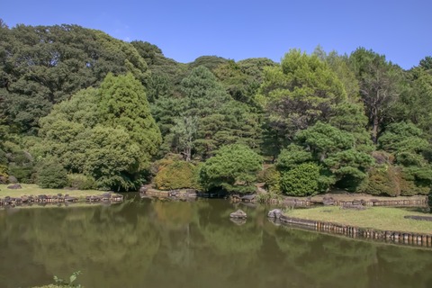 IMG_2054日本庭園