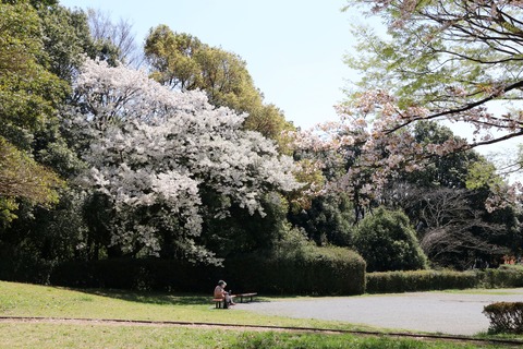 IMG_7881ちびっこ広場