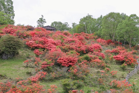 IMG_8885見晴山展望台へ登る_edited