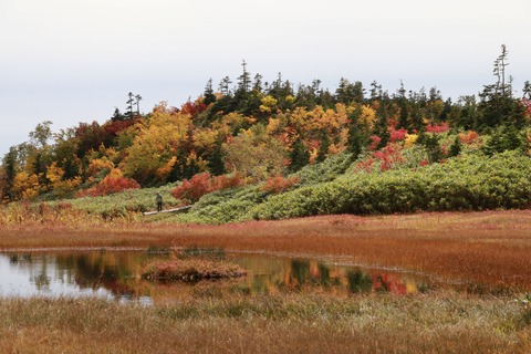 IMG_2313浮島湿原