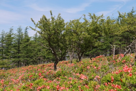 IMG_9935武石峰麓