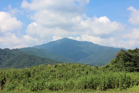 IMG_0822伊勢原より大山を望む1