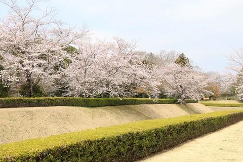 IMG_7687馬出し空堀