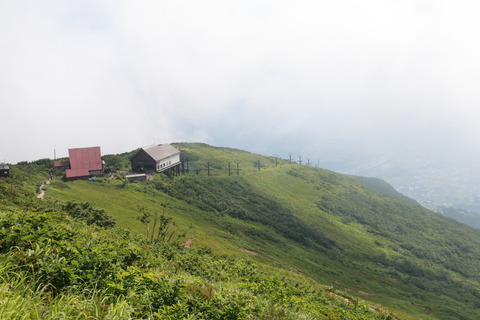 IMG_1080ハッポウサンソウ