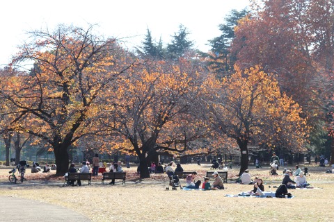 IMG_4413梅園の向こうの桜