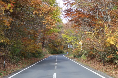 IMG_3130国道459号(会津若松裏磐梯線)