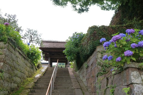 IMG_9467長寿寺山門