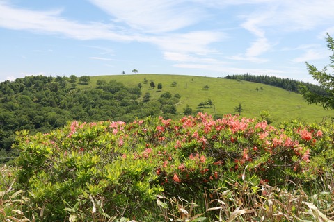 IMG_9984保護センター方面へ向かう