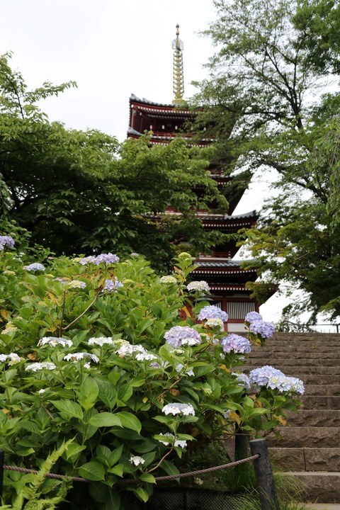 IMG_8970五重塔