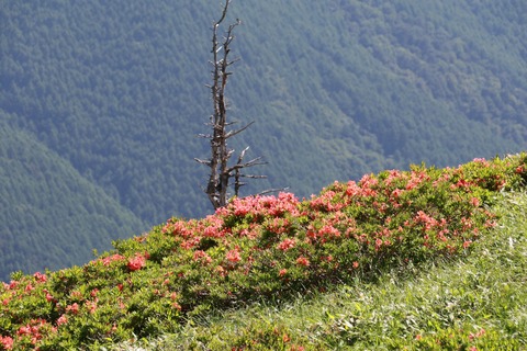 IMG_9907武石峰登る