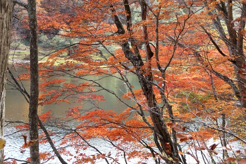 IMG_3132国道459号(会津若松裏磐梯線)