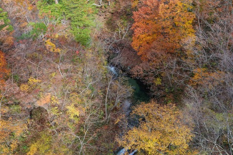 IMG_3164中津川渓谷