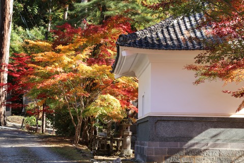 IMG_4219三門周辺