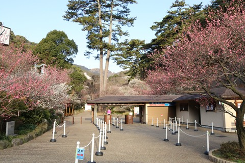 IMG_5389熱海梅園入口