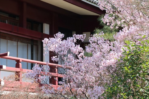IMG_7245増上寺会館