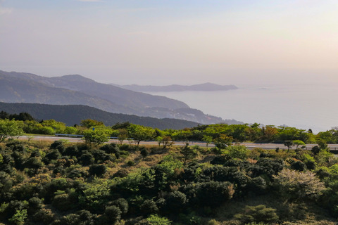 IMG_8941伊豆スカイライン玄岳Pより